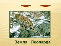 Презентация к уроку Земля Леопарда