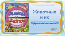 Презентация Животные и их детеныши