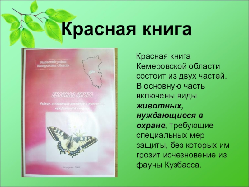 Проект красная книга кузбасса