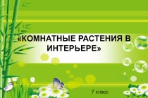 Презентация по технологии на тему Комнатные растения (5 класс)