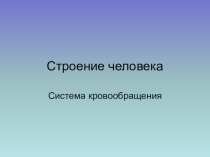 Презентация по биологии на тему 'Кровеносная система(8 класс)