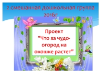 Презентация проекта Что за чудо - огород на окошке растет