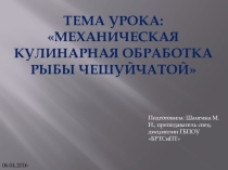Механическая кулинарная обработка рыбы чешуйчатой