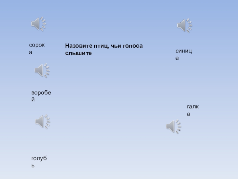 Какой птице принадлежит голос