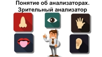 Презентация к уроку биологии на тему Понятие об анализаторах. Зрительный анализатор