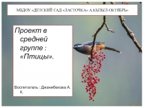 Презентация к проекту: Птицы.