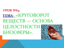 Презентация по биологии 9 класс на тему Круговорот веществ — основа целостности биосферы