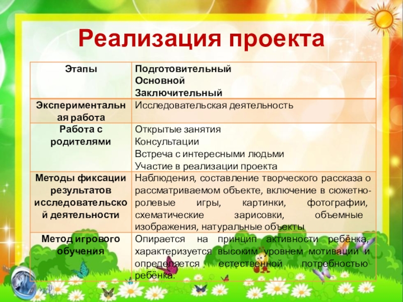Презентация по экологии Кот и пес спешат на помощь Реализация проекта Реализация проекта