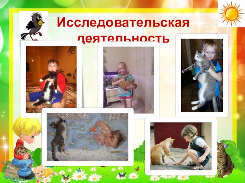 Презентация по экологии Кот и пес спешат на помощь Исследовательская деятельность Исследовательская деятельность