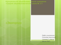 Экогород Потапова Анастасия 5 класс