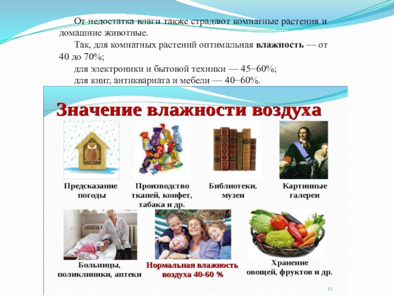 Значение влажности. Значение влажности воздуха для животных.