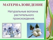 Презентация по технологии Натуральные волокна растительного происхождения 5 класс