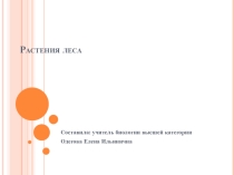 Презентация урока по природоведению, 5 класс Лес