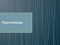 Презентация по биологии ПАук -птицеед 7 класс