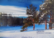 Презентация Фотоотчёт о проекте Остров