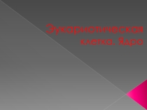 Презентация по биологии на тему эукариотическая клетка.ядро