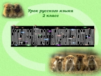 Русский язык 2 класс. Тема: Большая буква в кличках животных.