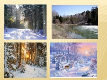 Презентация. Учимся различать деревья зимой. 1 класс.