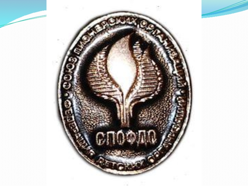 Союз Пионерских Организаций Федерация Детских Организаций