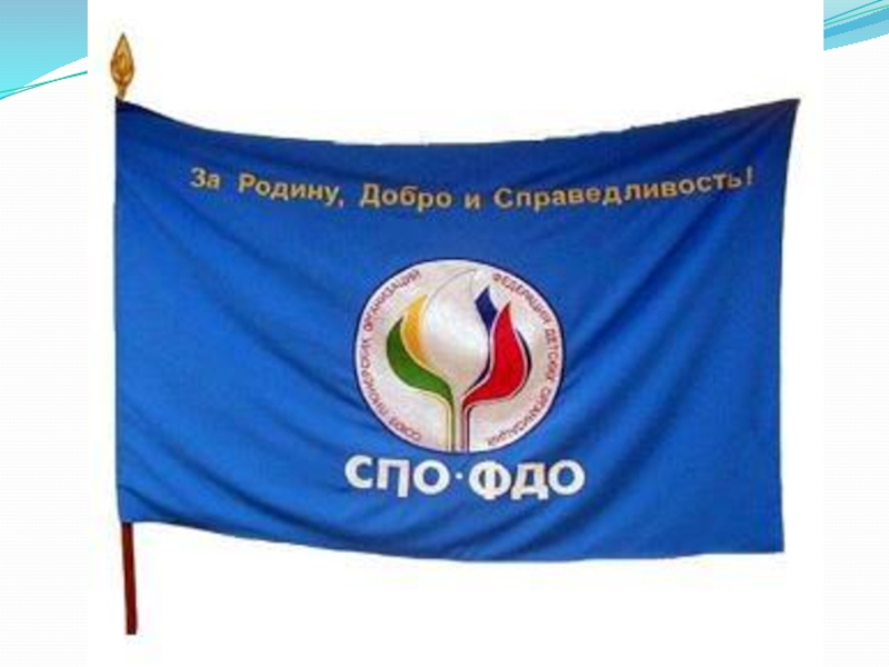 Союз Пионерских Организаций Федерация Детских Организаций