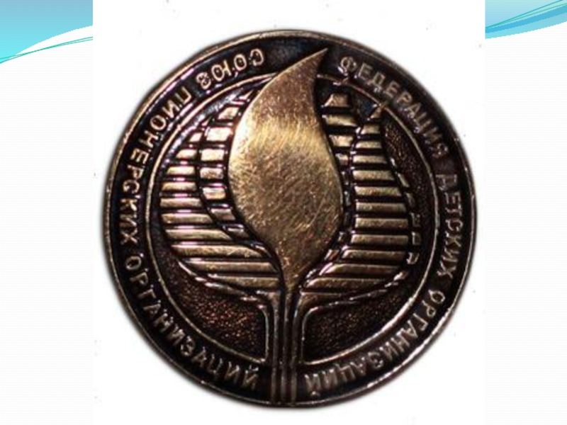 Союз Пионерских Организаций Федерация Детских Организаций