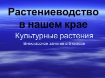 Презентация:  Растениеводство в нашем крае