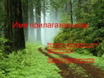 Презентация по русскому языку на тему Прилагательное (3 класс)