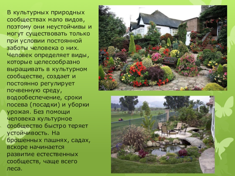 Роль человека в саду. Природное сообщество сад. Рассказ о саде. Природное сообщество сад доклад. Тема для презентации сад.