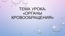Презентация по биологии на тему  Органы кровообращения