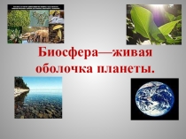 Презентация по биологии на тему: Биосфера - оболочка живого (11 класс)