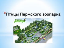 Презентация по окружающему миру Птицы Пермского зоопарка