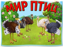 Презентация по окружающему миру на тему Мир птиц