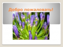 Презентация к уроку литературного чтения во 2-м классе. Забота о животных в произведении Пришвина М.М. Ребята и утята.