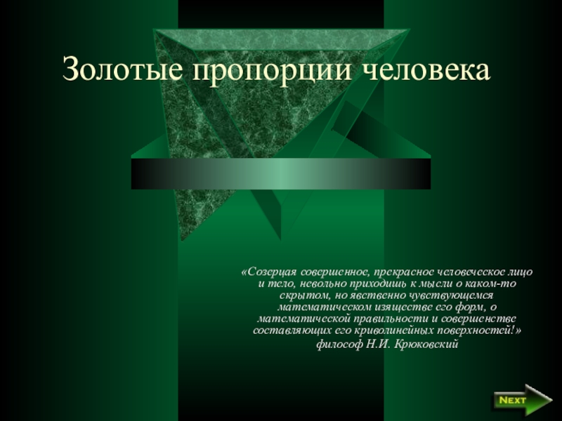 Презентация по математике на тему:Золотые пропорции человека