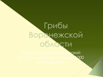 Презентация по биологии и краеведению Грибы Воронежской области