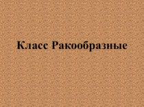 Презентация по биологии Ракообразные