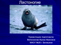 Презентация по окружающему миру на тему: Ластоногие (4 класс).