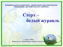 Презентация Стерх- белый журавль