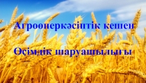 Презентация по географии на тему Агроөнеркәсіптік кешен