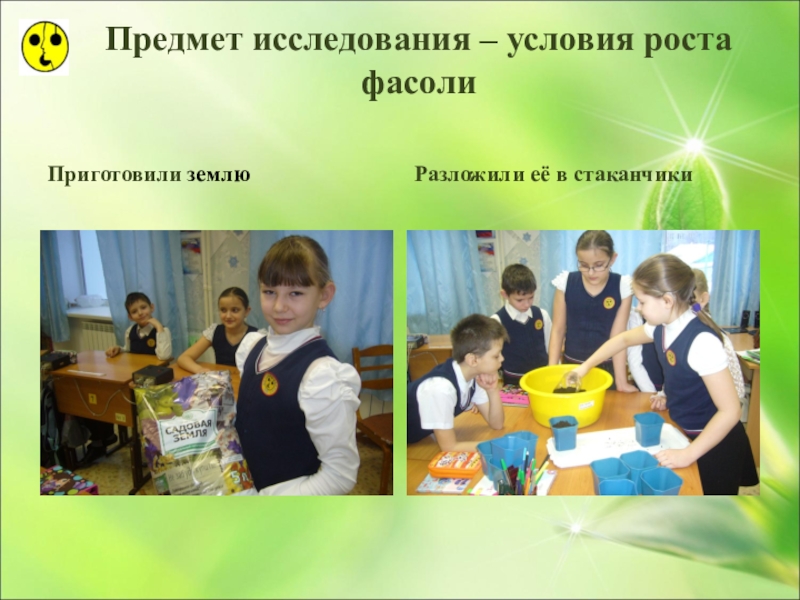 Презентация по ознакомлению с окружающим миром Большая тайна маленького зёрнышка (3 класс) Предмет исследования – условия роста фасолиПриготовили землюРазложили её в стаканчики Предмет исследования – условия роста фасолиПриготовили землюРазложили её в стаканчики