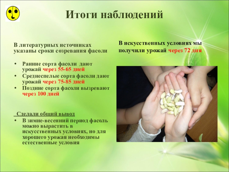 Презентация по ознакомлению с окружающим миром Большая тайна маленького зёрнышка (3 класс) Итоги наблюденийВ литературных источниках указаны сроки созревания фасолиРанние сорта фасоли дают Итоги наблюденийВ литературных источниках указаны сроки созревания фасолиРанние сорта фасоли дают урожай через 55-65 днейСреднеспелые сорта фасоли