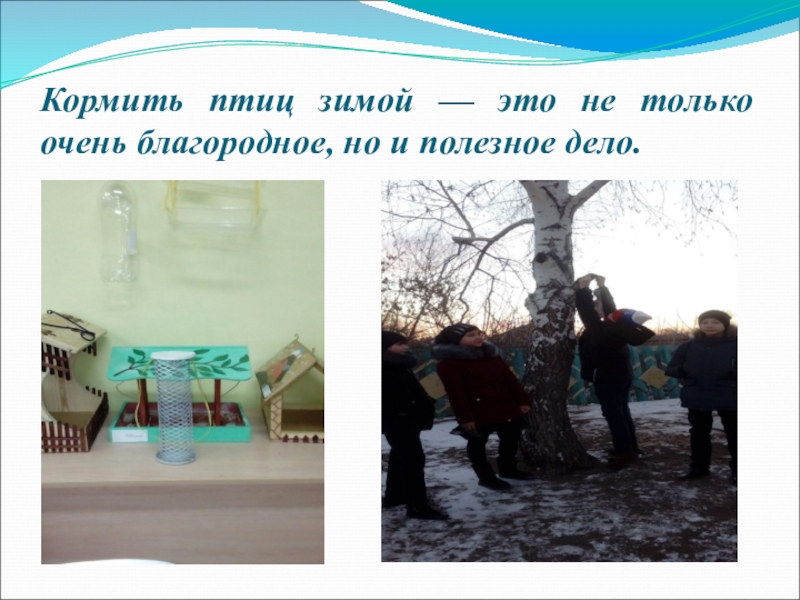 Презентация Берегите лес! Нам этот мир завещано беречь! Кормить птиц зимой — это не только очень благородное, но и полезное дело. Кормить птиц зимой — это не только очень благородное, но и полезное дело.