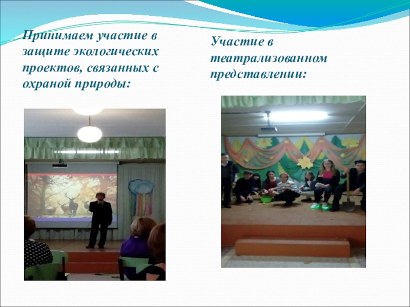 Презентация Берегите лес! Нам этот мир завещано беречь! Принимаем участие в защите экологических проектов, связанных с охраной природы:Участие в театрализованном представлении: Принимаем участие в защите экологических проектов, связанных с охраной природы:Участие в театрализованном представлении: