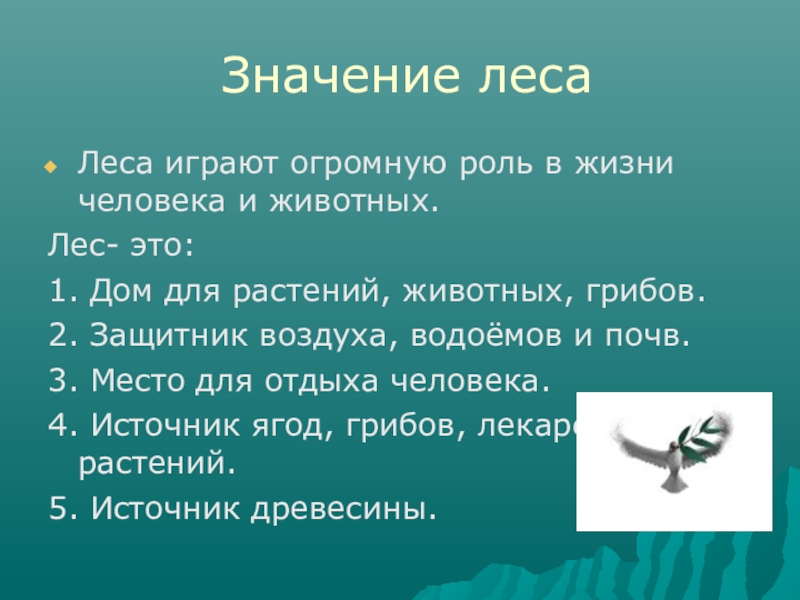 3 23 значение. Роль леса в жизни людей и животных. Значение зоны лесов для человека. Роль леса в жизни животных. Значение леса в жизни человека 3 класс.