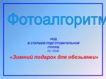 Презентация Зимний подарок для обезьянки