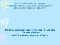 Презентация к исследовательской работе Робинзон и его последователи