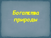 Урок экологического воспитания (5 класс)