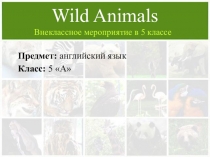 Приложение к разработке внеклассного мероприятия по английскому языку на тему Wild animals.(5 класс)