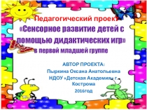 Презентация по сенсорному развитию  Сенсорное развитие детей через дидактические игры
