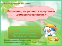 Исследовательская работа Возможно, ли развести попугаев в домашних условиях?